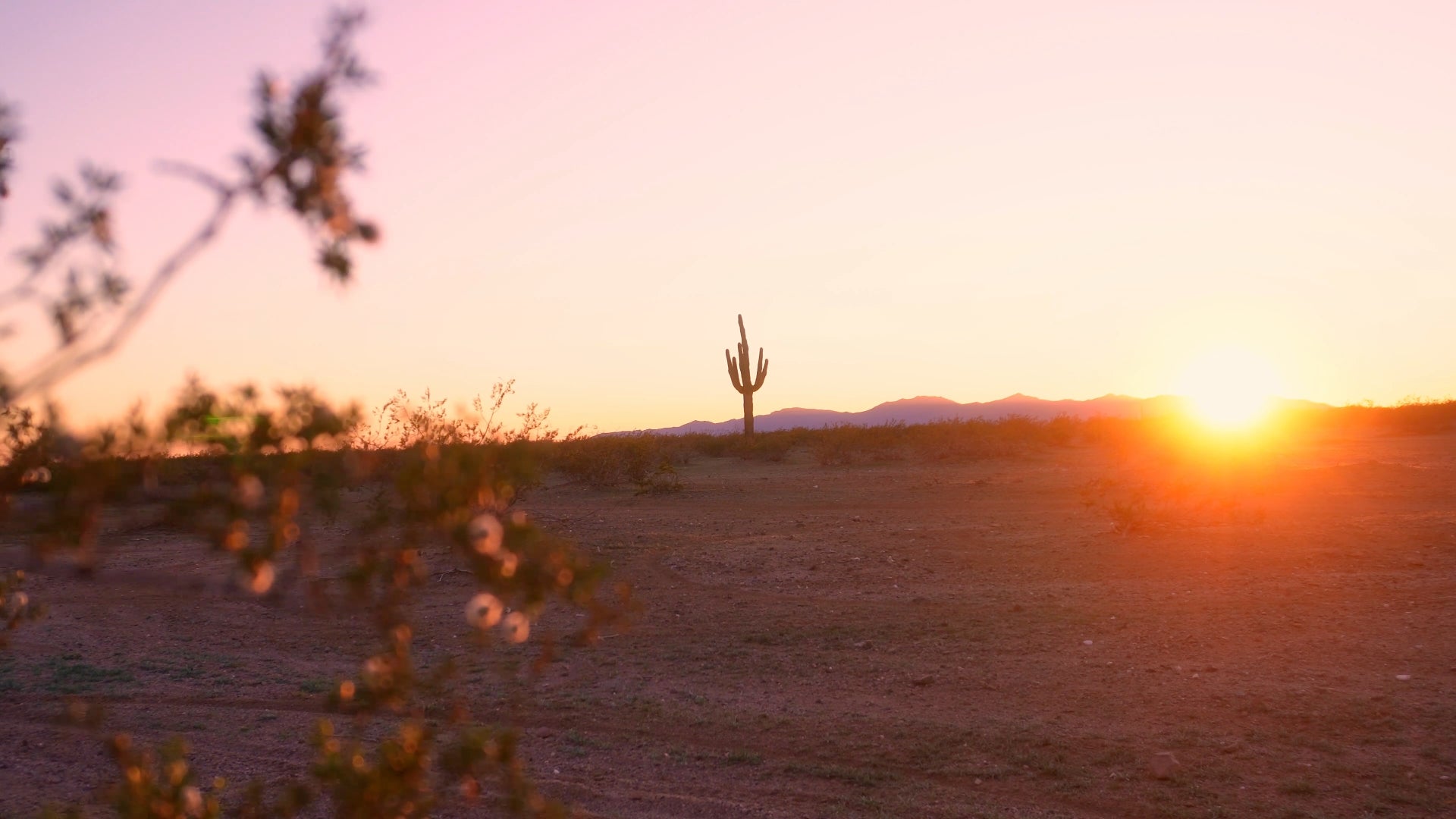 Golden hour in the Arizona desert where Dream Pads ambient sample pack field recordings were captured
